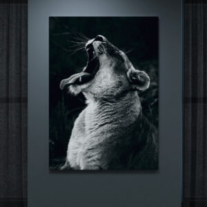 Tablou Black and white tiger